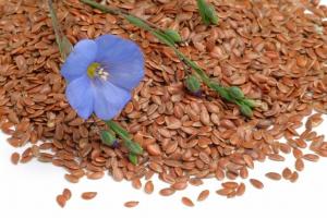 Flax Crop Market