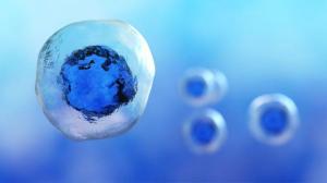Single Cell Analysis Market Growth 2025