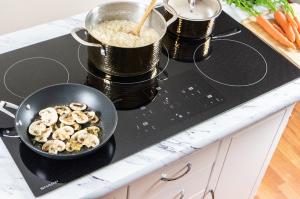 Induction Stove Market