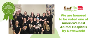 East Hills Veterinary Clinic Named as One of America's Best Animal Hospitals for 2025