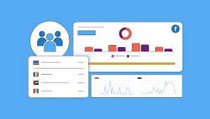 Audience Targeting Software Market