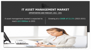 IT Asset Management 