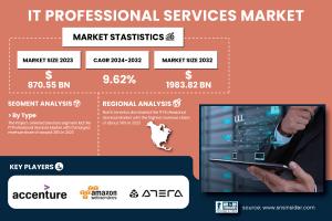 IT-Professional-Services-Market