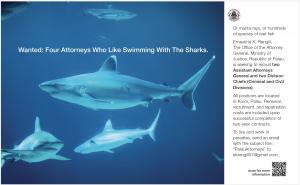 Palau Attorney Ad in California Diving News, March 2025