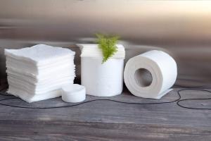 Europe Tissue And Hygiene Paper Market