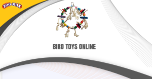  Bird Toys Online