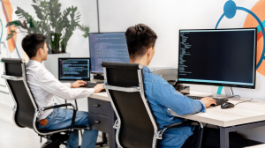 equity-based-software-developers
