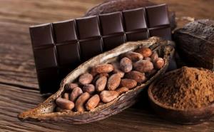 Cocoa Market