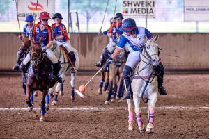 polo player hits ball into the air in arena polo