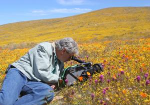 Louie filming in a field of wild poppies in Lancaster, CA after a historic rainstorm brought a bloom onset. Footage was featured in his "Moving Art" series in the "Flowers" episode.