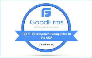 Top IT Development Companies in the USA