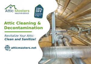 Attic cleaning and decontamination