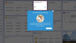 Screenshot Pythagoras Customer Journey