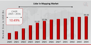 LiDAR in Mapping Market Share