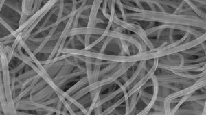 Polymer Nanofiber Market