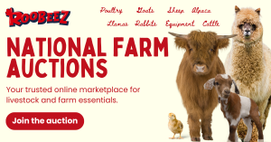 Farm Auctions and Livestock Auctions