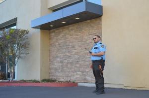 Standing Security Guard Service-