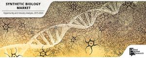 Synthetic Biology Market--