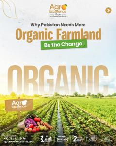 Agro Excellence Farms - Pakistan's 1st Large Scale & Gated Farmland Community