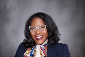 The Health Equity Consulting Group
