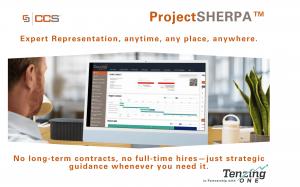 Fractional Project Manager working on TenzingOne PMIS