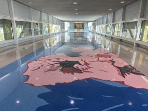 Terrazzo design, public art: foot bridge with terrazzo floor with hibiscus flowers. 