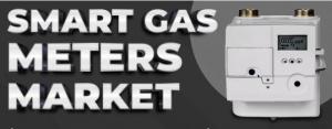 Smart Gas Meter Market Size
