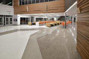 Terrazzo design: floor with river designs in natural colors.