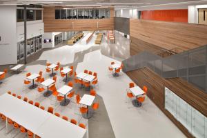 Terrazzo design in the school commons area represents local rivers.