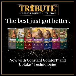 7 tribute equine feed bags