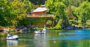 Paddleboats out on the lake