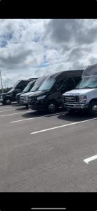 Fleet of Skyline Party Buses in Tampa, including Mercedes Sprinter vans and luxury limo buses, lined up and ready for group transportation services.