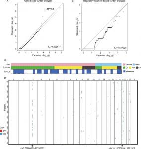 Mutational landscape of iridocorneal endothelial (ICE) syndrome.