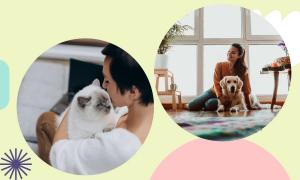 Pet Lovers Cat and Dogs