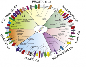 Cancer Biomarkers Market Growth 2025-2032