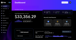 Shows Rise's dashboard in dark mode. The left side bar gives the user easy access to the site's other sections (Action Items, Team, Pay, Payroll, etc).