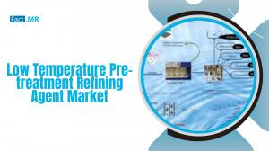 Low Temperature Pre-treatment Refining Agent Market