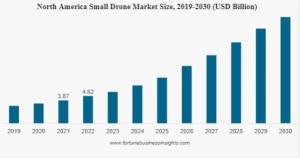 Small Drone Market Size