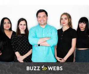 Buzz Webs Team