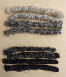 This is an image of gray and black dreadlocks cut from the artist's head and trimmed to a uniform length.
