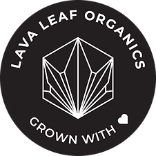 Lava Leaf Organics Dispensary