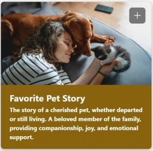 My Pet Story on Times of My Life
