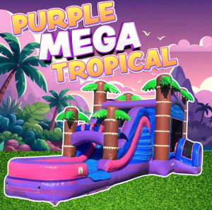 Water Slide Rentals In Port St. Lucie - A&B Bounce Party Rentals