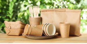 Environmental Paper Industrial Bag Market