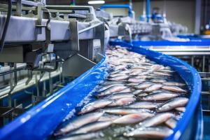 Seafood Processing Equipment Market 2025-2032