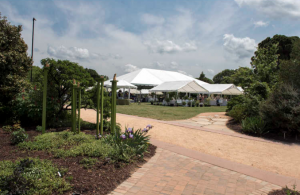 NCSU's JC Raulston Arboretum Garden Party and Rare Plant Auction