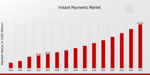 Instant Payments Market Growth
