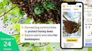 A mobile phone screen shows the Swarmed app with a bee swarm report from Mountain View, California. The screen displays options to claim the swarm, weather data, and swarm likelihood. On the left, a green badge reads “Funded in 24 Hours.” The background s