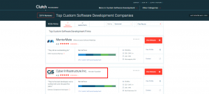 Ranked 2 in custom software development