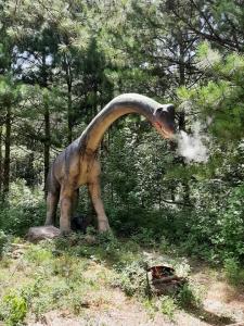 Towering Over the Trail: The Brachiosaurus at Sweet Valley Ranch’s Dinosaur World